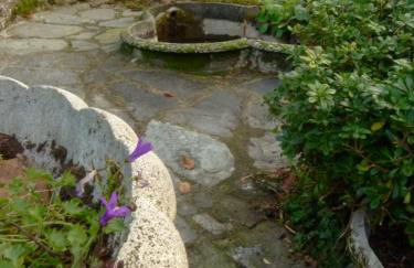 Villa Maria Lago Maggiore - Foto 31