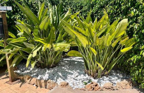 Korean Village - Foto 35