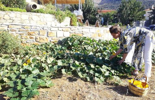 blueline guesthouse - Foto 50