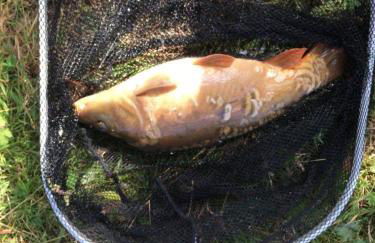 Gîte du banc de scie - Foto 48