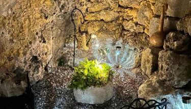 Aloni Studio - Foto 3, Garden, Garden view