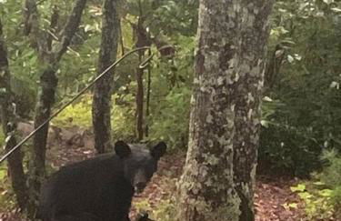 Mae’s Cottage in the Clouds - Foto 13