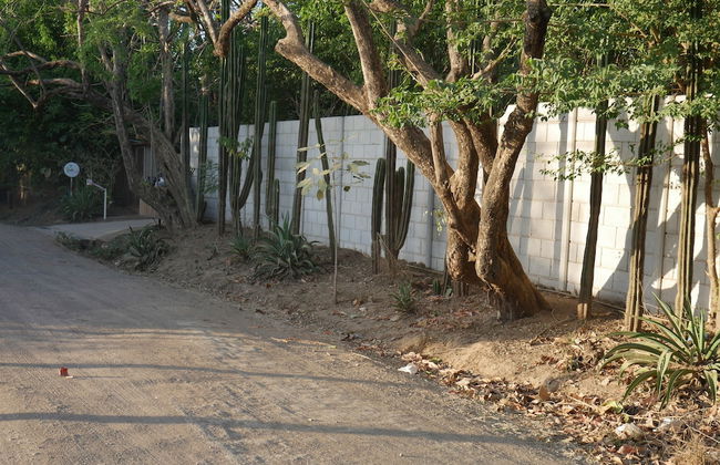 Cote Pacific Casitas - Photo 44