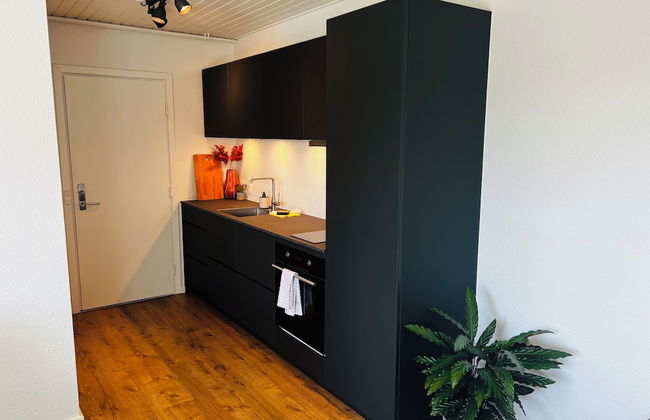 Cozy Flats Silkeborg - 1TH - Foto 6