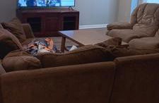 2 Bedrooms, I Bath, Basement Apartment - Photo 7