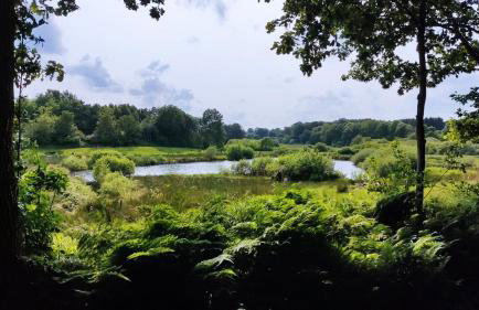 Villa Hennstedt - Photo 17