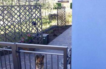 Casa del Tempo Rosa Tassullo OSPITAR - Foto 23