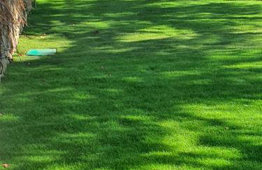 Villa Monika - Foto 26