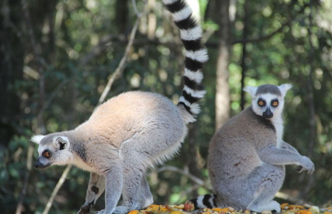 Moon Shine on Whiskey Creek - Foto 54