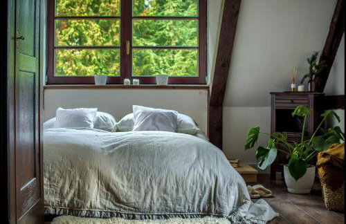 Dzikie Historie Młynik - Photo 5