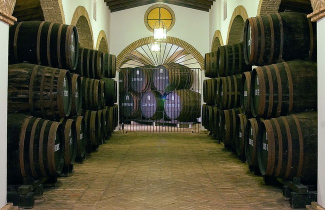 Visita alle cantine Rubio de Luis Felipe - Foto 1