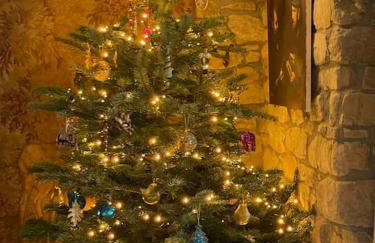 Luxury Cottage close to Cliffs & Surfing Beaches! - Photo 41