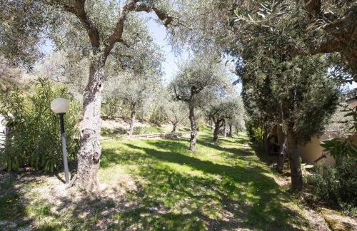 Agriturismo i Cigni - Foto 58