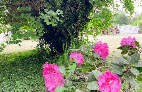 Gîte du Marais - Proche Chambord, Wifi, Animaux admis, Parking privé - FR-1-491-467 - Photo 18