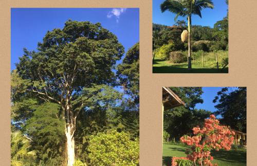 Recanto da Floresta - Casa de campo em Secretário - Foto 12