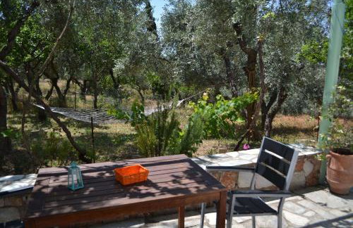 Villa Liogerma - Foto 52