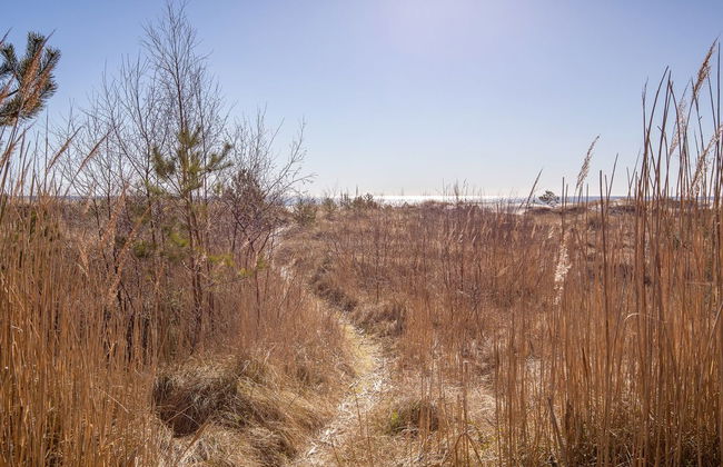 "Unto" - 25m from the sea - Foto 6