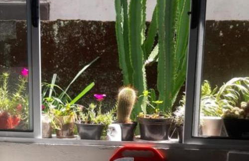 Casa de praia em Itanhaem - Foto 8