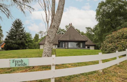 Fresh Fields - Photo 38