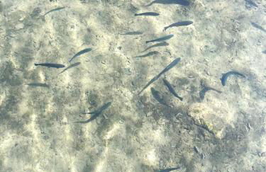 Agriturismo La Vecchia Chioderia - Foto 12