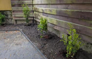 Stilvolle Altbau Wohnung im Zentrum von Detmold, Paulana - Foto 29