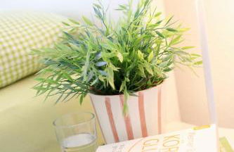 Ferienwohnung Werner - Foto 37