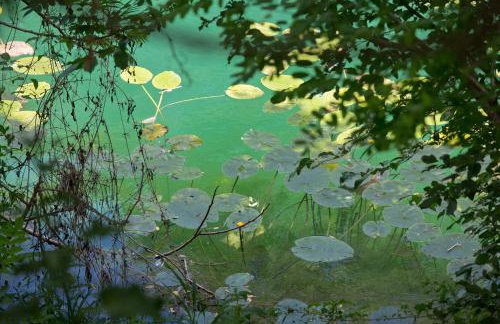 Mrežnički doživljaj - Foto 49