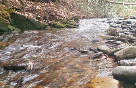 The Dapper Duck Log Cabin - Foto 17