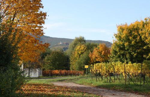 Landhaus Messerschmitt - Foto 43