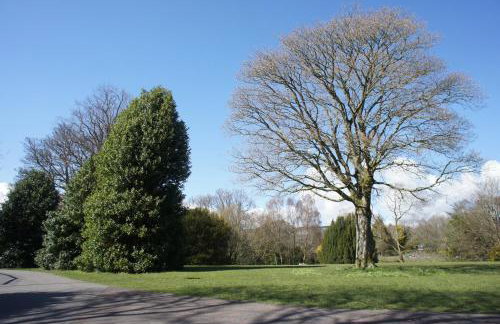 136 West Princes Street - Foto 56