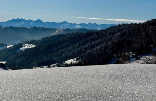 Bacówki Resort - Photo 12