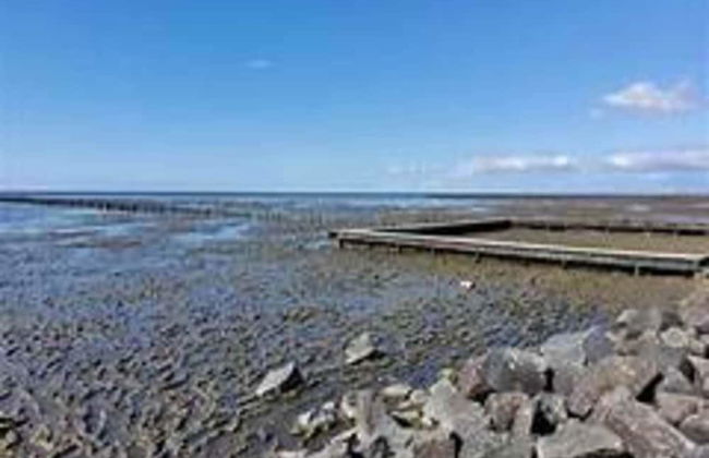 Wohnung in Friedrichskoog-spitze mit Parkplatz - Foto 16