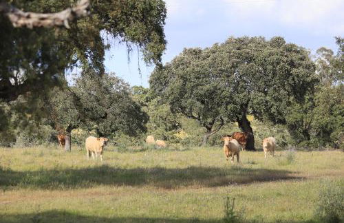 Country House and Estate - Herdade da Azinheira - Foto 12