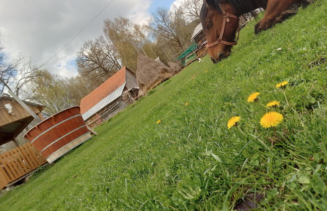 Rustic Wild Retreat IN Romania - Foto 24