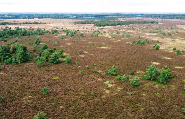 Cozy Holiday Home in Hovborg near Community Area - Foto 7