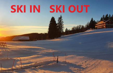 Residenz Grafenmatt Feldberg - Foto 39