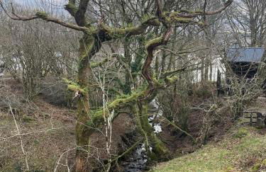 Belle 2 bedroom log cabin with hot tub, forest and loch - Foto 8