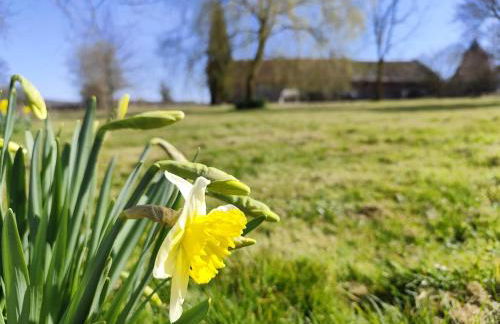 Beau soleil - Foto 21