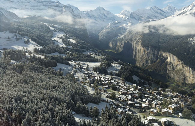 Haus Bel Air - Foto 49