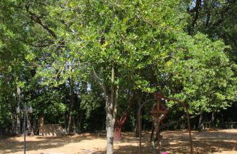 Agriturismo Casale Zuccari - Foto 43