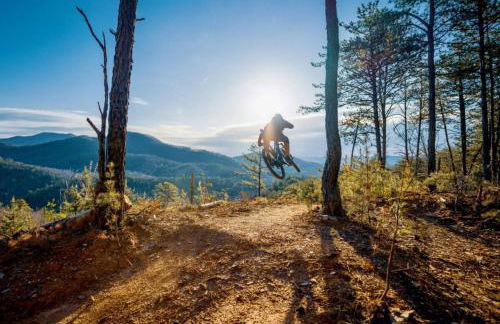 Creekside Base for Hiking and Biking, Near Downtown - Foto 6