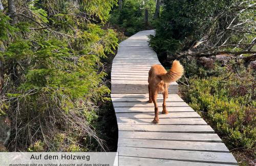 Harz Auszeit, Fewo Bergblicke, ruhig & besonders -2 Balkone, Jura Kaffeevollautomat, für Gäste mit Hund geeignet - Foto 32