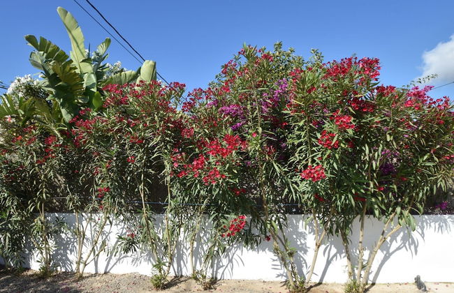 Belvilla by OYO Casa Majo II - Photo 38