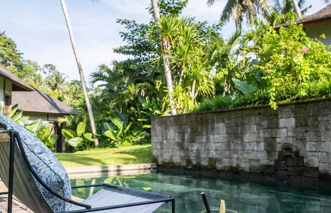 Exceptional 9BR Incredible Jungle View, River Access - Photo 65