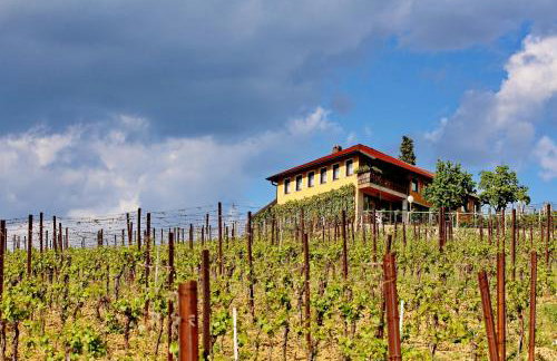 Wine Paradise - Foto 10