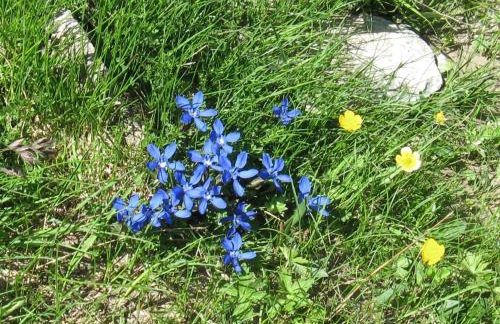 La Baita - Bionaz - Photo 66