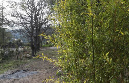 LUBERON DES ARTISTES 2 - Photo 22