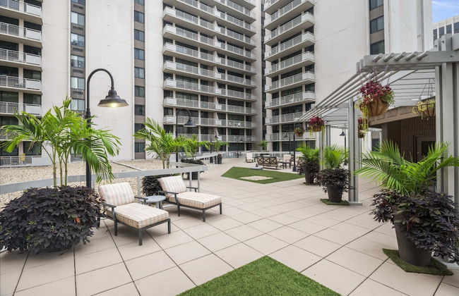 Charming Elegance Crystal City Apartment - Foto 54