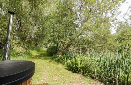 Kingfisher - Foto 18