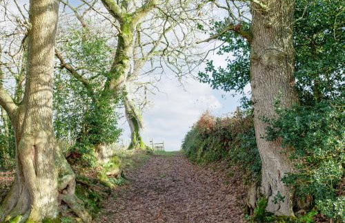 The Cow Shack - Foto 20